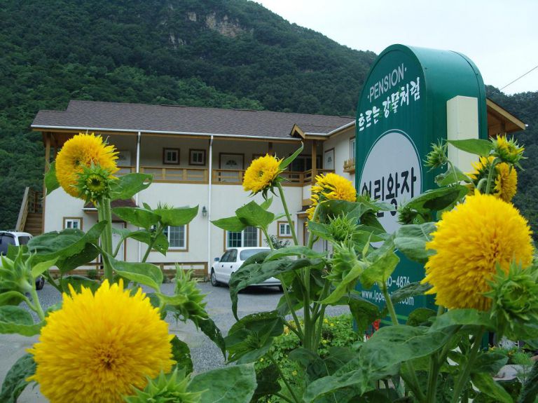 펜션전경