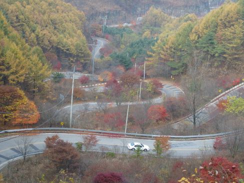 환상의 도로 (넘 멋지죠!)