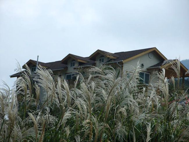 배경