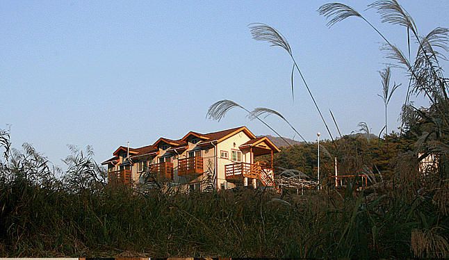 가을단풍