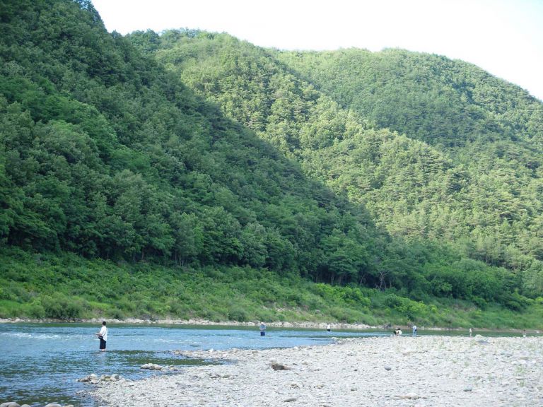 전경