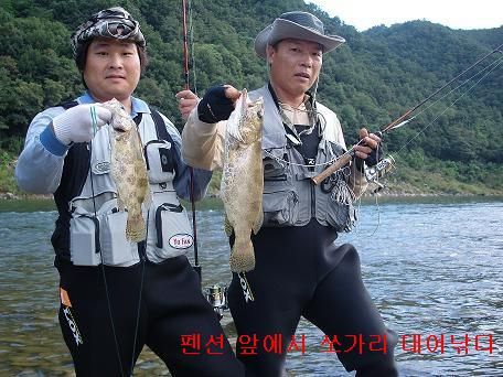 쏘가리 2